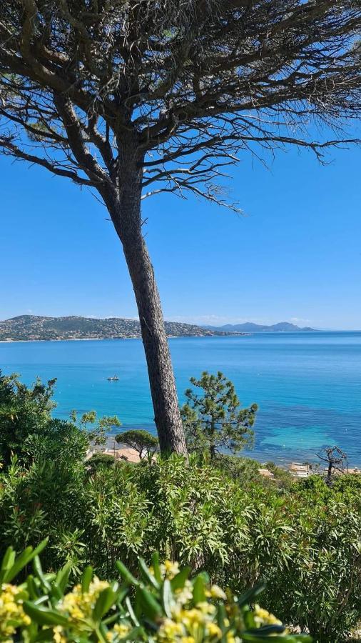 Mi Casita Apartman Sainte-Maxime Kültér fotó